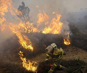Firefighters battle 15 forest fires in northern Spain