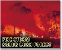 From backing singer for Joe Cocker to firefighting chief
