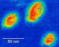 First observation of native ferroelectric metal