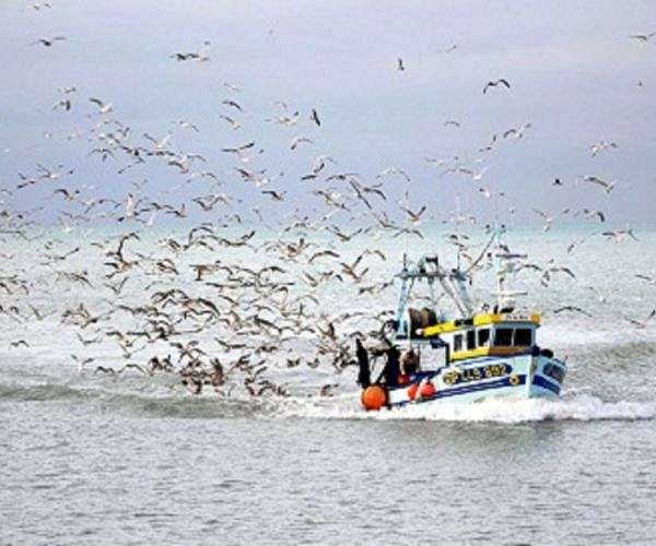 China to resume some Japanese seafood imports after Fukushima ban