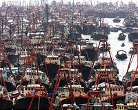 French fishermen blockade Calais over electric pulse fishing