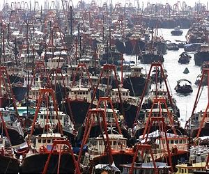 Disputed fish quota cuts lead to tough EU talks