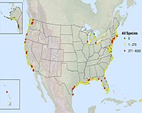 Flame Retardants Affecting US Coastal Ecosystems