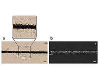Metal-silicone microstructures could enable new flexible optical and electrical devices
