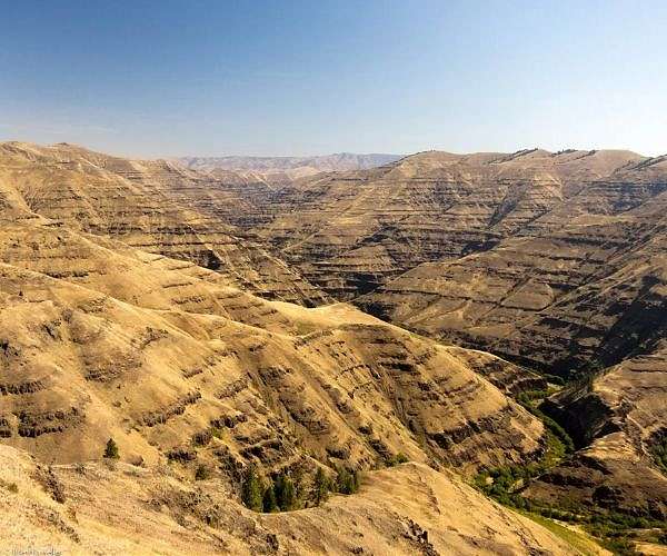 Dartmouth study removes human bias from debate over dinosaurs' demise