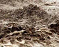 Four killed, three missing in Turkey floods