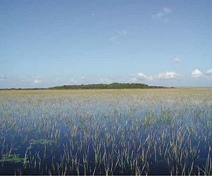 Human impacts of rising oceans will extend well beyond coasts