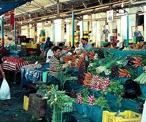 Rising food prices spell trouble for Arabs