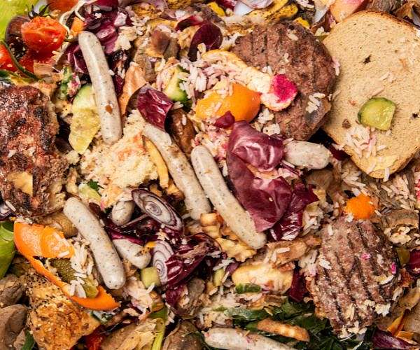 'Just staggering': UN says households waste 1 bn meals a day
