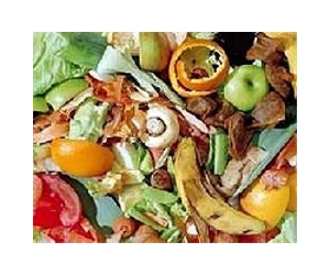 Stop Wasting Food For Painless Energy Savings