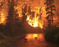 Local Sources Major Cause Of US Near-Ground Aerosol Pollution