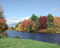 Forests Could Benefit When Fall Color Comes Late