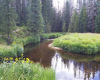 Abundance inequality in freshwater communities has an ecological origin