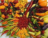 Farmers, chefs fight to save classic ingredients in Mexican cuisine