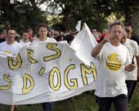 European Ministers Uphold Hungary's Right To Ban GMO Crop