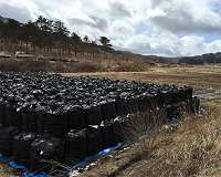 Lessons learned from an extraordinary case of soil decontamination