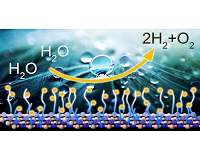 Modified 'white graphene' for eco-friendly energy