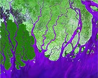 Asian Rivers Being Choked By Detritus Of Breakneck Development