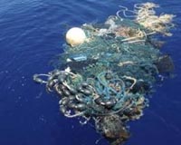Pacific plastic dump far larger than feared: study