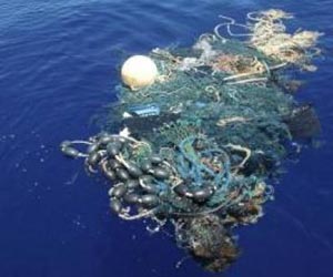 Oceanic Garbage Patch Not Nearly As Big As Portrayed In Media