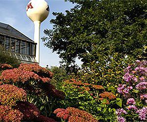 Global plant database will expand research on ecosystems and climate change