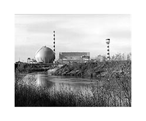 Italy should boost nuclear power: energy boss