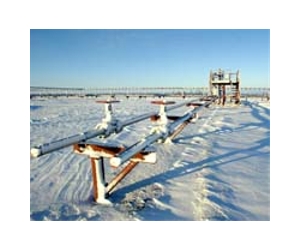 India seeks more access to Siberia fields