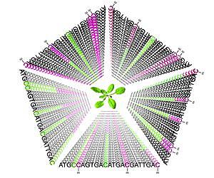 Are genes our destiny