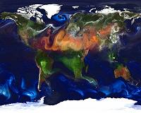 Saharan dust affects marine bacteria, potential pathogen Vibrio
