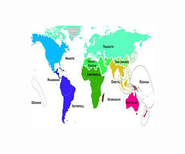 Delegates hash out UN biodiversity goals online