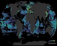 Dead plankton, stunned fish: the harms of man-made ocean noise