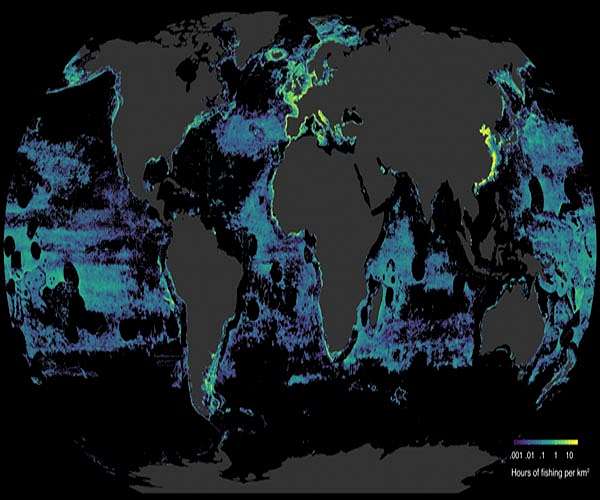 Global fish stocks can't rebuild if nothing done to halt climate change and overfishing