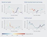 Fishing amplifies forage fish collapses