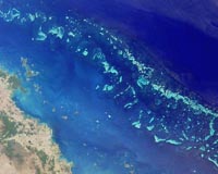 Study shows changes in Great Barrier Reef fish during heat wave