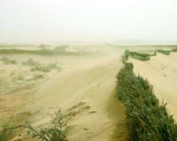 Trans-Sahara pipeline fuels 'gas war'