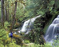 Millions Pledged To Save Canadian Amazon