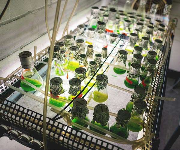 Green hydrogen faces critical challenges in bridging ambition and reality