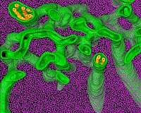 Algae-forestry, bioenergy mix could help make CO2 vanish from thin air