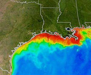 NOAA, partners predict possible record-setting deadzone for Gulf of Mexico