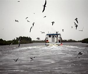 Concerns for local fishermen as Gulf focus shifts