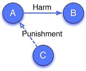 Evolution of 'third party punishment'