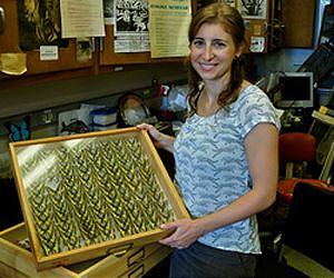Climate change may disrupt flight season of Canadian butterflies