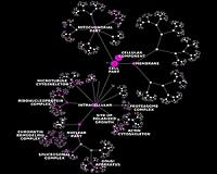 Genomics holds key to understanding ecological and evolutionary processes