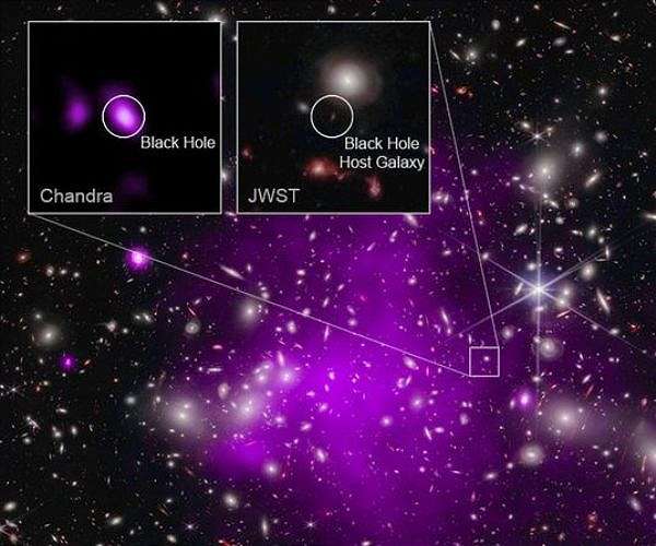 Dark star theory links JWST early universe anomalies