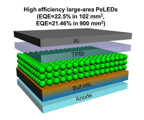 Highly efficient large-area perovskite LEDs for next-gen display technology