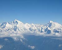 Flying frog among 353 new Himalayan species: WWF