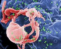 Quest to end AIDS epidemic at risk: UN