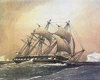 Shipping firms look to sail into the future