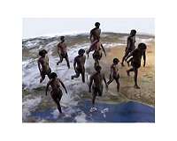 Origin of human genus may have occurred by chance