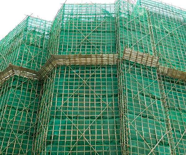 Hong Kong mega development plan to devour villages, wetlands